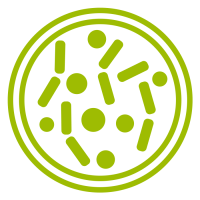 cocktail de microorganismes