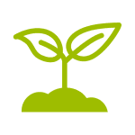 Mycorhizes adaptées aux pépiniéristes