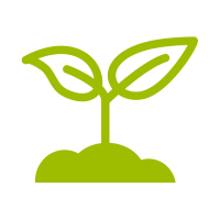 Mycorhizes adaptées aux pépiniéristes