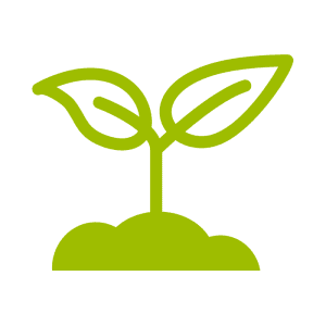 Mycorhizes adaptées aux pépiniéristes