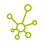 Diversité de souches